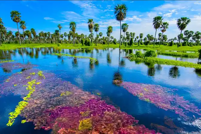 Imagen paisaje Argentina