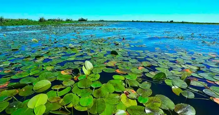 Imagen paisaje Argentina