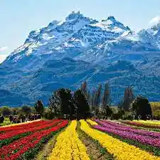 Imagen paisaje Argentina