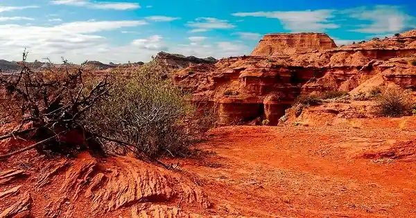 Imagen paisaje Argentina
