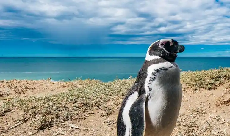 Imagen paisaje Argentina