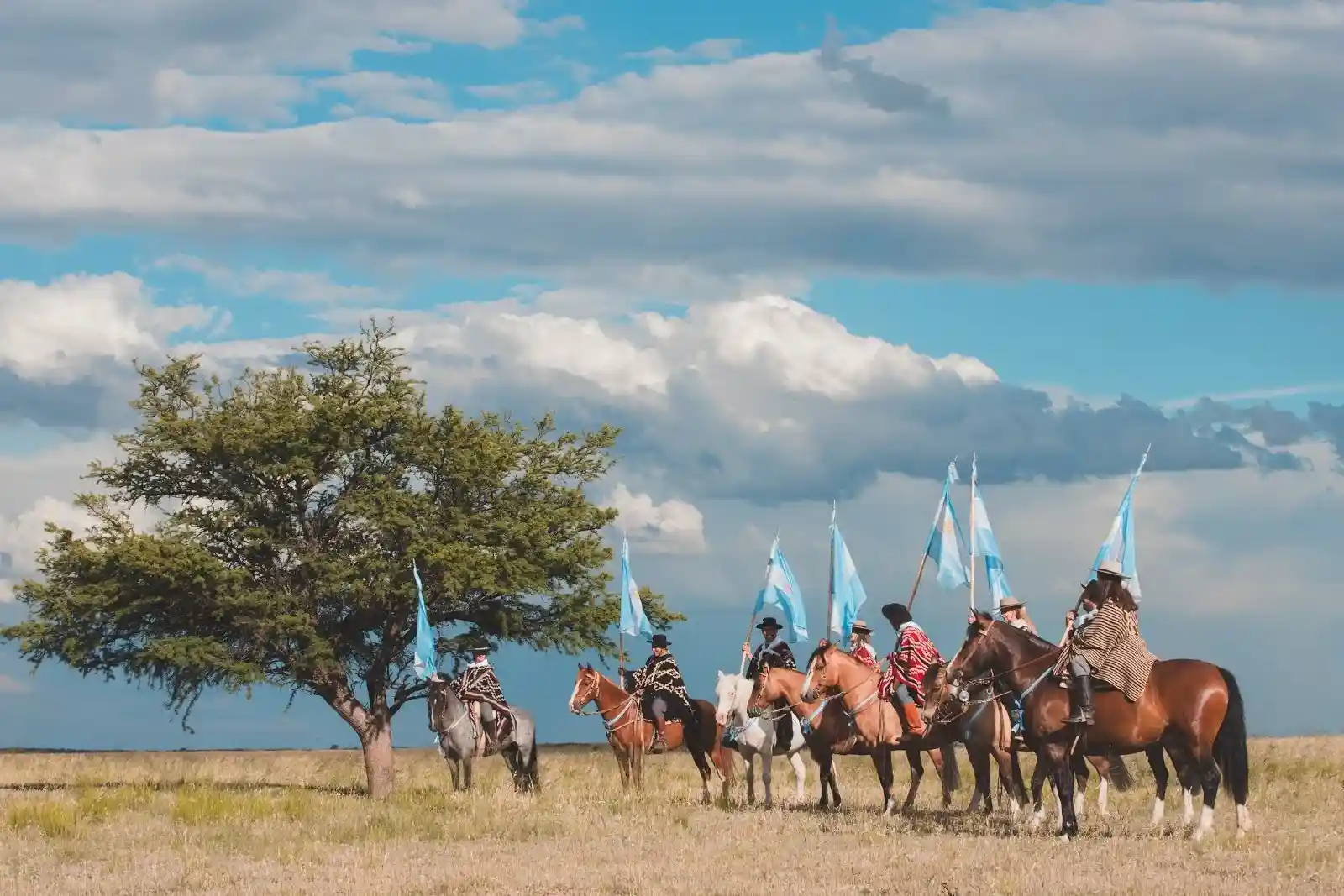 Imagen paisaje Argentina