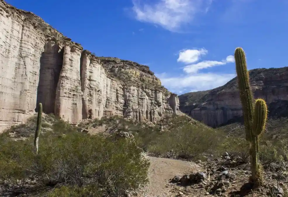 Imagen paisaje Argentina